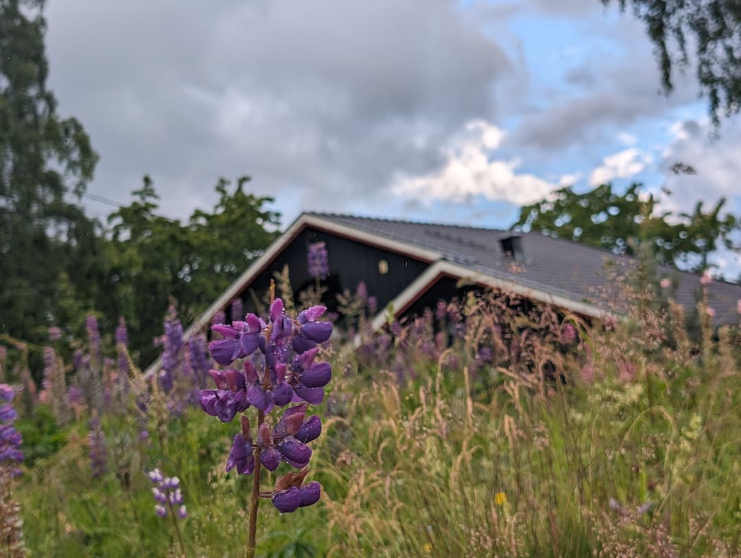Lånehuset