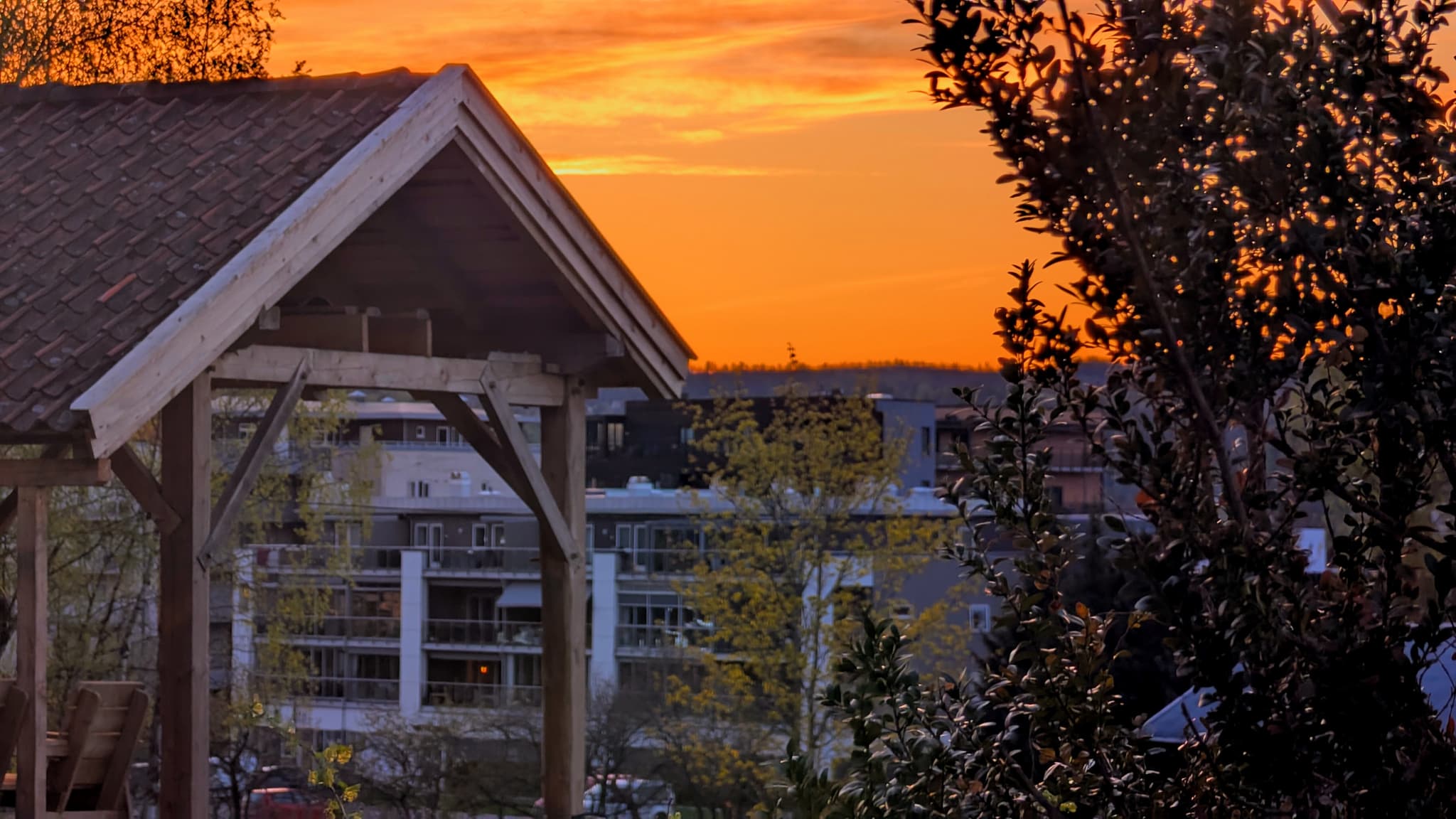 Revetalhagen på kvelden